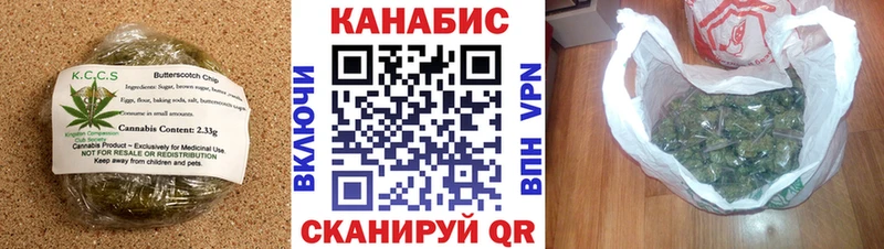 Canna-Cookies марихуана  где купить наркоту  Шагонар 