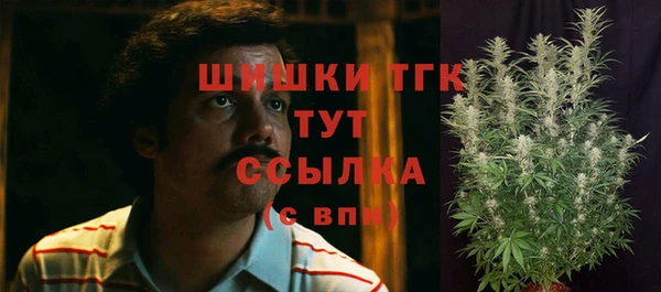 сатива Баксан