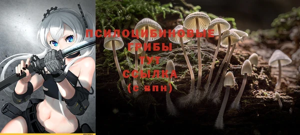 ALPHA PVP Балабаново