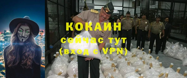 сатива Баксан