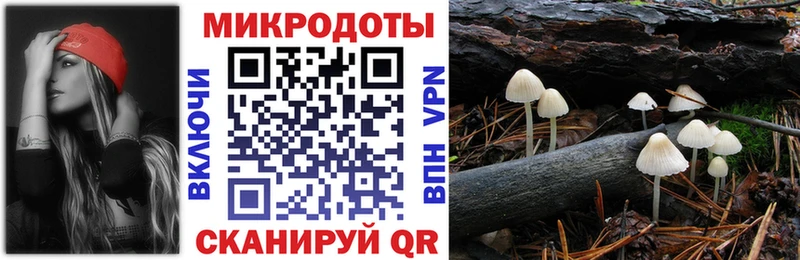 Псилоцибиновые грибы MAGIC MUSHROOMS  что такое   Шагонар 